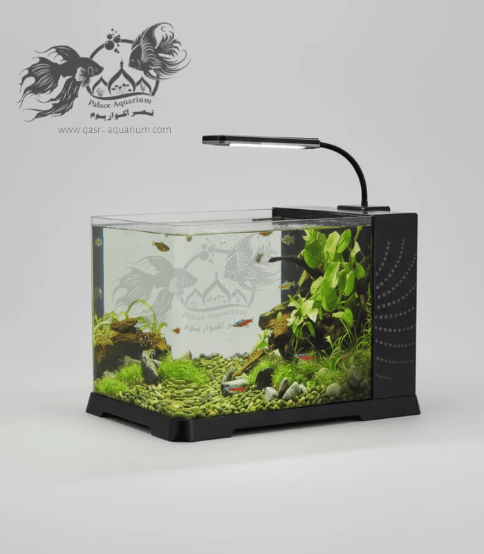 آکواریوم آماده دلسا مدل B102
