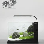 آکواریوم آماده دلسا مدل B103