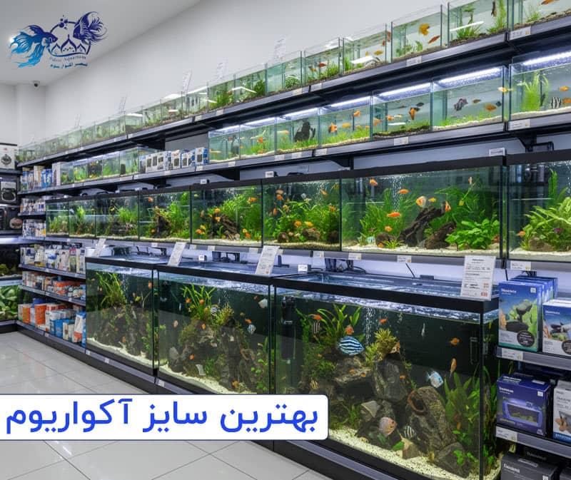 بهترین اندازه آکواریوم