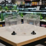 زایشگاه ماهی رویال