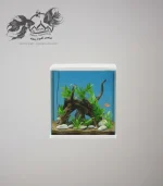 آکواریوم آماده دلسا مدل K‑320