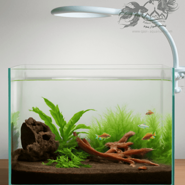 ال-ای-دی-رینگی-DS-Y20-min-600x600