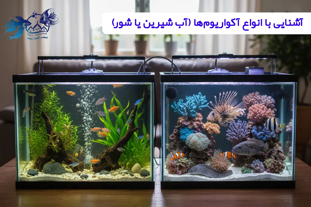 انواع آکواریوم‌