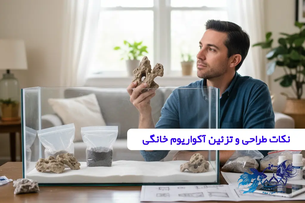 نکات طراحی و تزئین آکواریوم خانگی​