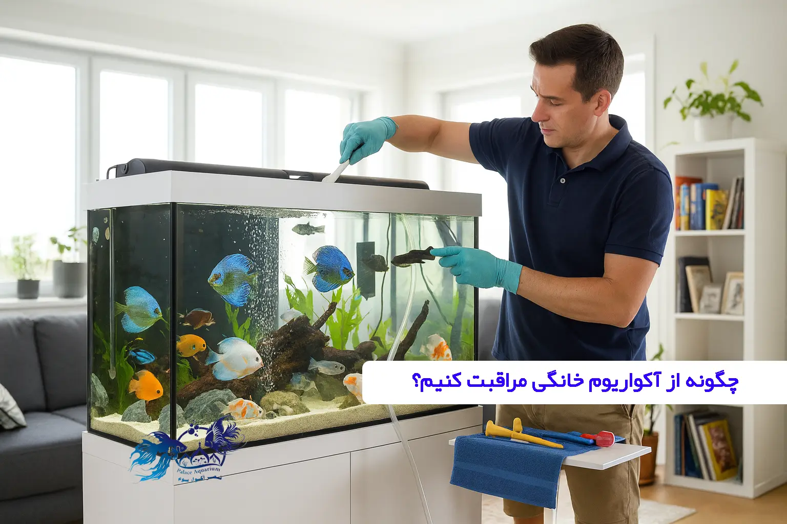 مراقبت و نگهداری آکواریوم خانگی