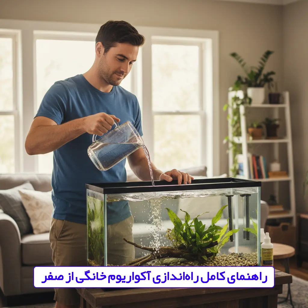 راهنمای کامل راه اندازی آکواریوم خانگی از صفر